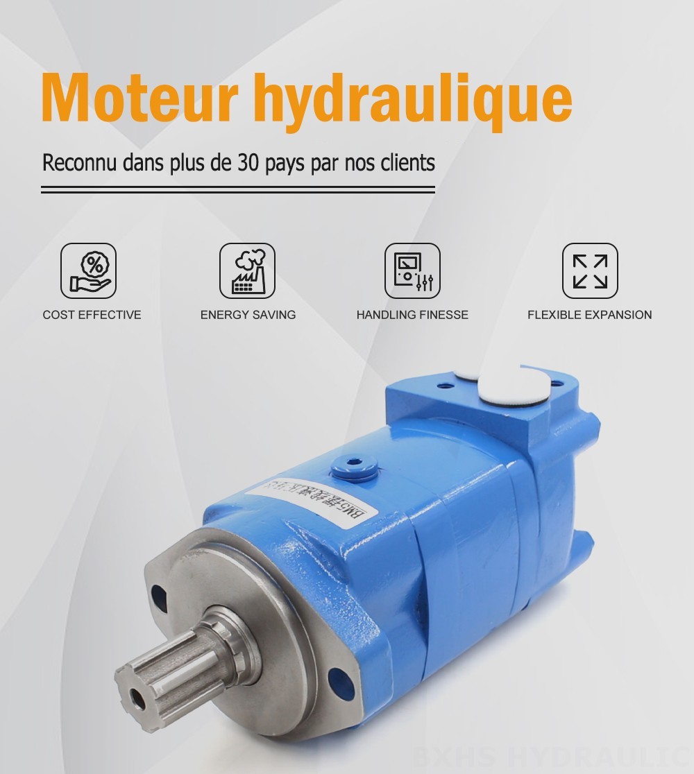 Moteur hydraulique cycloidal BM3 100 cm³/tr 50 L/min Moteur Hydraulique